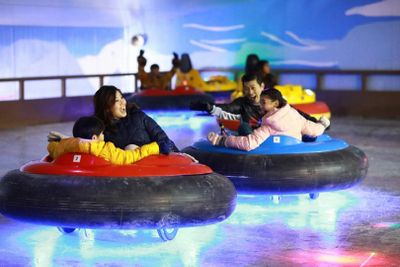 Снежный город Сингапур: Входной билет