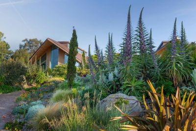 RHS Garden Hyde Hall: Входной билет