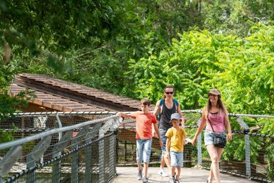 Thot Парк: входной билет - photo 2