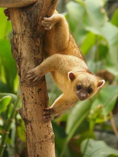Парк консерватории Медельин: Билет с входом без очереди - photo 2