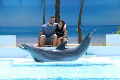 Zoomarine Roma: зарезервированный вход с дельфинами