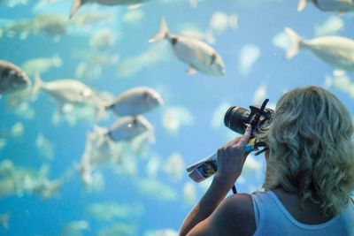 Аквариум Пальмы: входной билет + трансфер с севера