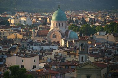 Синагога и Еврейский музей Флоренции: Входной билет