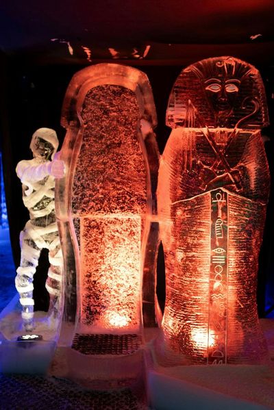 Фестиваль ледяных скульптур в Голландии: Входной билет - photo 2