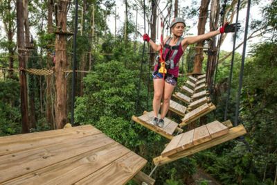 TreeTop Challenge Sunshine Coast: входной билет