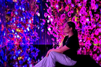 iMUSEUM: входной билет