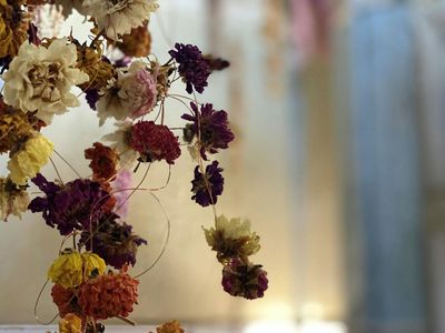 Старинная аптека Сан-Филиппо Нери: Входной билет - photo 2