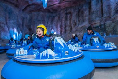 Снег Абу-Даби: Входной билет - photo 2