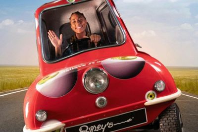 Ripley 's Believe It or Not! Hollywood: Входной билет