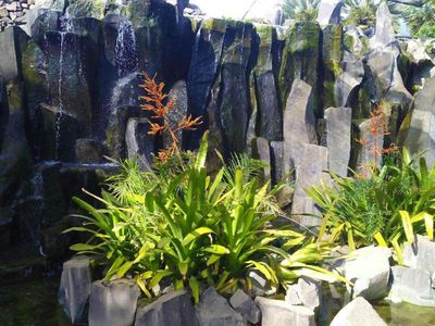 Пальметум Санта-Крус-де-Тенерифе: Входной билет - photo 2