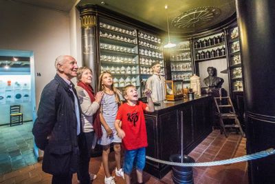 Volkskundemuseum: входной билет