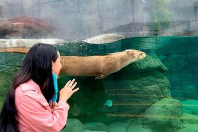 Океанариум Мичин, Пуэбла: Входной билет