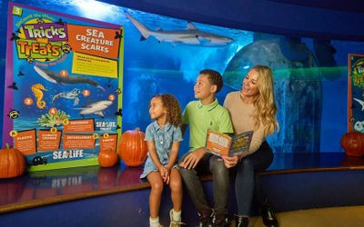 SEA LIFE Aquarium в ресторане American Dream: общий билет