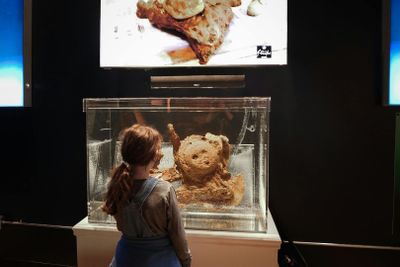 Настоящие пираты Салема: Входной билет