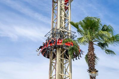 Тематический парк Виапорт с аквариумом и парком львов: Входной билет - photo 2