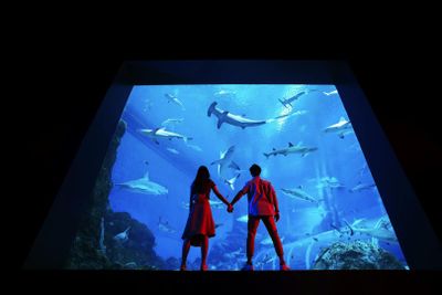 S.E.A. Aquarium™ Сингапур: Входной билет - photo 2