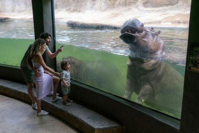 Гибкий входной билет в зоопарк Сан-Антонио на любой день - photo 2