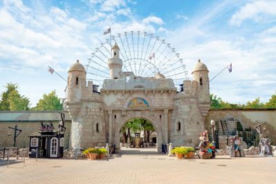 Романья: Мирабиландия и аквафан (комбинированный билет)