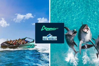 Sea World Gold Coast: билет на 1 день + поездка на гидроцикле