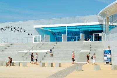 Nausicaá: Билет с входом без очереди