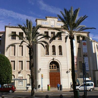 Коррида и музей Аликанте: проход без очереди - photo 2