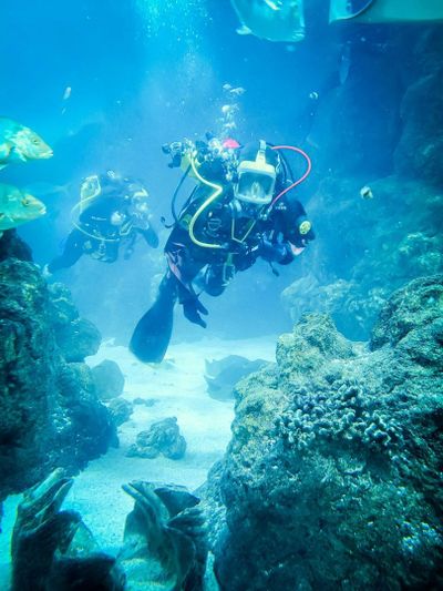 Аквариум в центре Денвера: Входной билет - photo 2