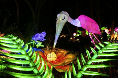 Зоопарк Бронкса: праздничные огни