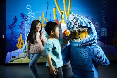 SEA LIFE Мельбурн и LEGOLAND® Discovery Centre - комбинированный билет - photo 2