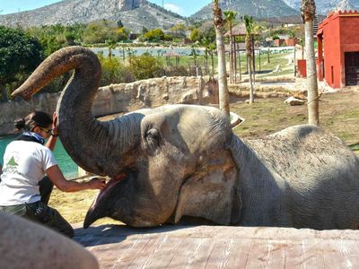 Terra Natura Benidorm: Входной билет - photo 2