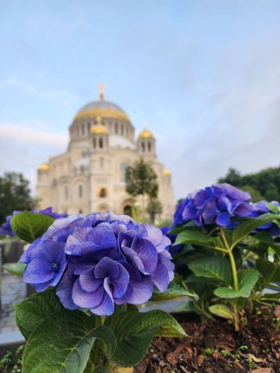 Кронштадт: аудиоэкскурия по главным достопримечательностям с местным гидом - photo 2