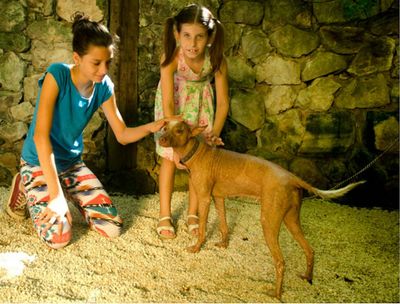 Зоопарк Croco Cun: Билет с быстрым входом - photo 2