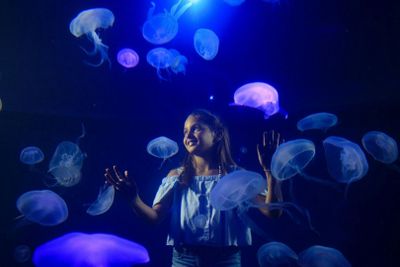 Аквариум Пальмы: Билет с входом без очереди + Дополнительный 3D-кинотеатр Aquadome - photo 2