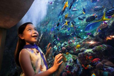 Аквариум Lost Chambers: Входной билет - photo 2