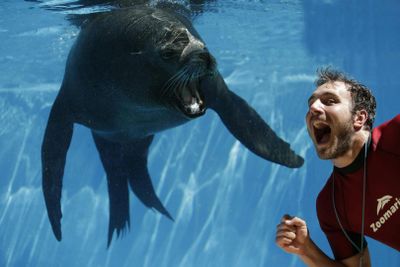 Зоопарк: Билет с быстрым входом - photo 2