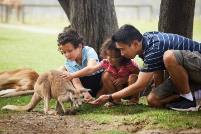 Парк дикой природы Оквейл: Входной билет
