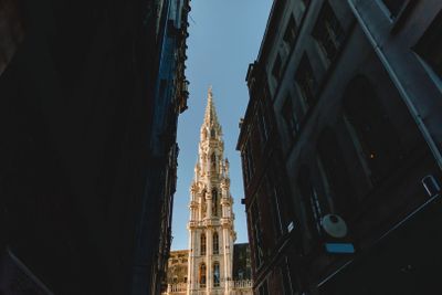 Обзорная аудиоэкскурсия по Брюсселю с билетом в музей Бэнкси