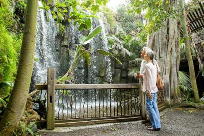 Аквариум Пальмы: входной билет + трансфер с севера - photo 2