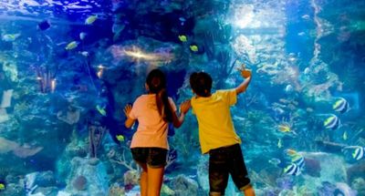 Мундомар Бенидорм: Билет с входом без очереди - photo 2