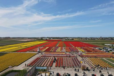 The Tulip Barn: Входной билет