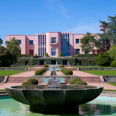 Парк Серралвеш: входной билет и прогулка по верхушке дерева - photo 2