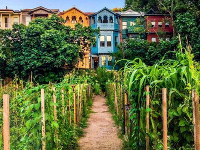 Кузгунджук: аудиогид по самому уютному району Стамбула