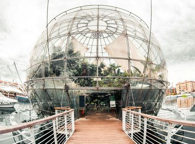 Биосфера: Билет с быстрым входом