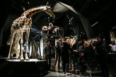 Музей слияния: Входной билет - photo 2