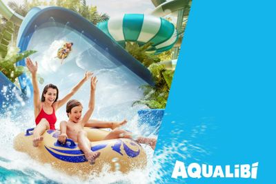 Aqualibi: Входной билет