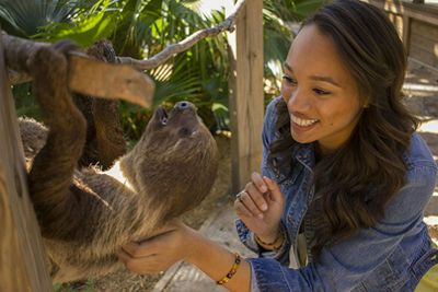 Посещение парка Wild Florida Gator