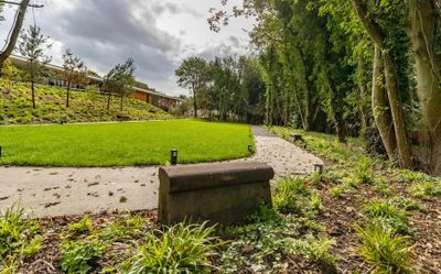 Земляничное поле: Входной билет