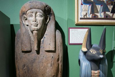 Музей истории Санкт-Петербурга: Входной билет