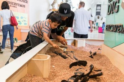 Музей естественной истории округа Лос-Анджелес: Входной билет - photo 2