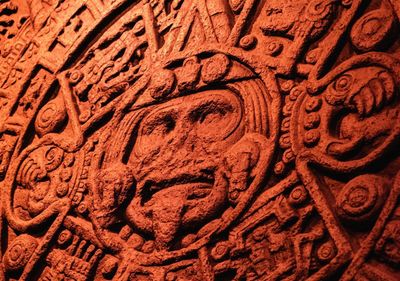 Музей естественной истории Филда в Чикаго: билет и аудиоэкскурсия в приложении - photo 2