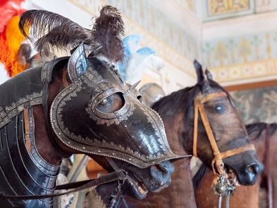 Эрмитаж: мечи и доспехи—билет и аудиогид по Рыцарскому залу - photo 3